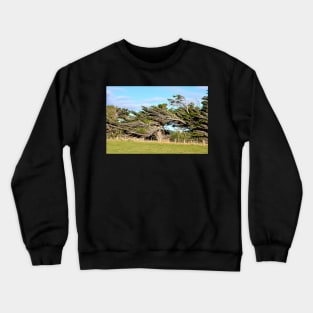 Nouvelle Zélande, sur la route de Te Anau à Dunedin Crewneck Sweatshirt